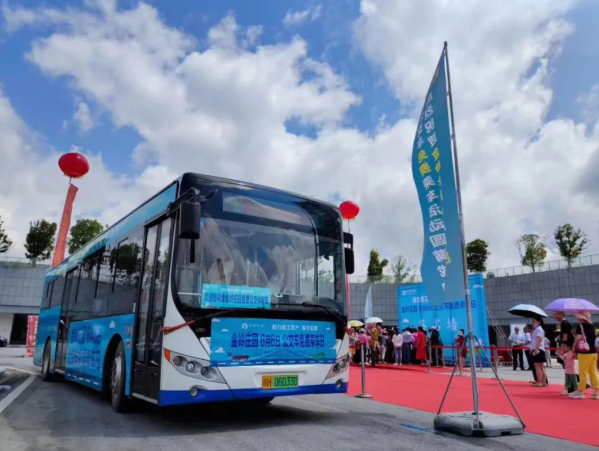 景德鎮公交“綠色公交、共享出(chū)行”免費乘車日活動圓滿結束